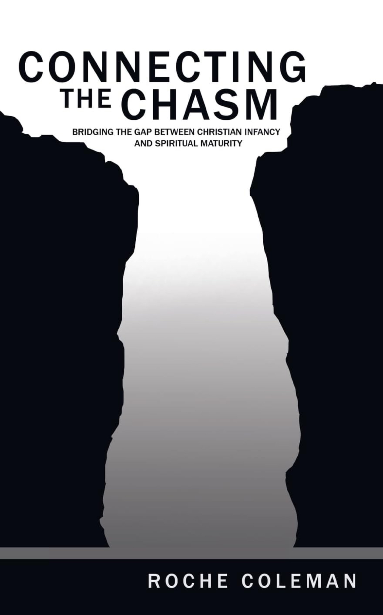 Connecting-the-Chasm-with-subtitle Connecting-the-Chasm-with-subtitle